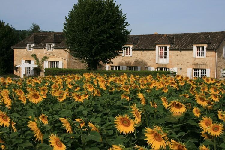 Domaine Des Hirondelles Villa Saint-Vincent-de-Cosse Стая снимка